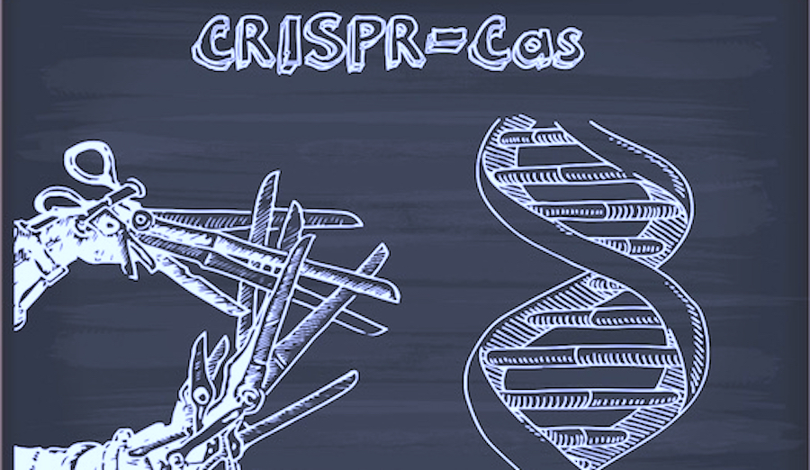 CONFERENCIA: INMUNIDAD EN PROCARIOTAS MEDIADA POR CRISPR