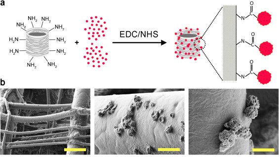 CONFERENCIA: María Blanco Prieto