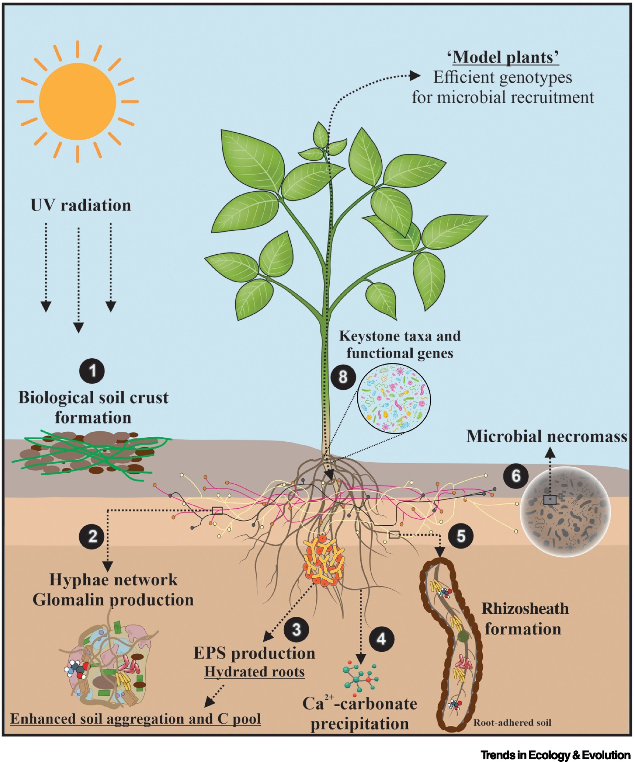 CONFERENCIA: Lucas William Mendes