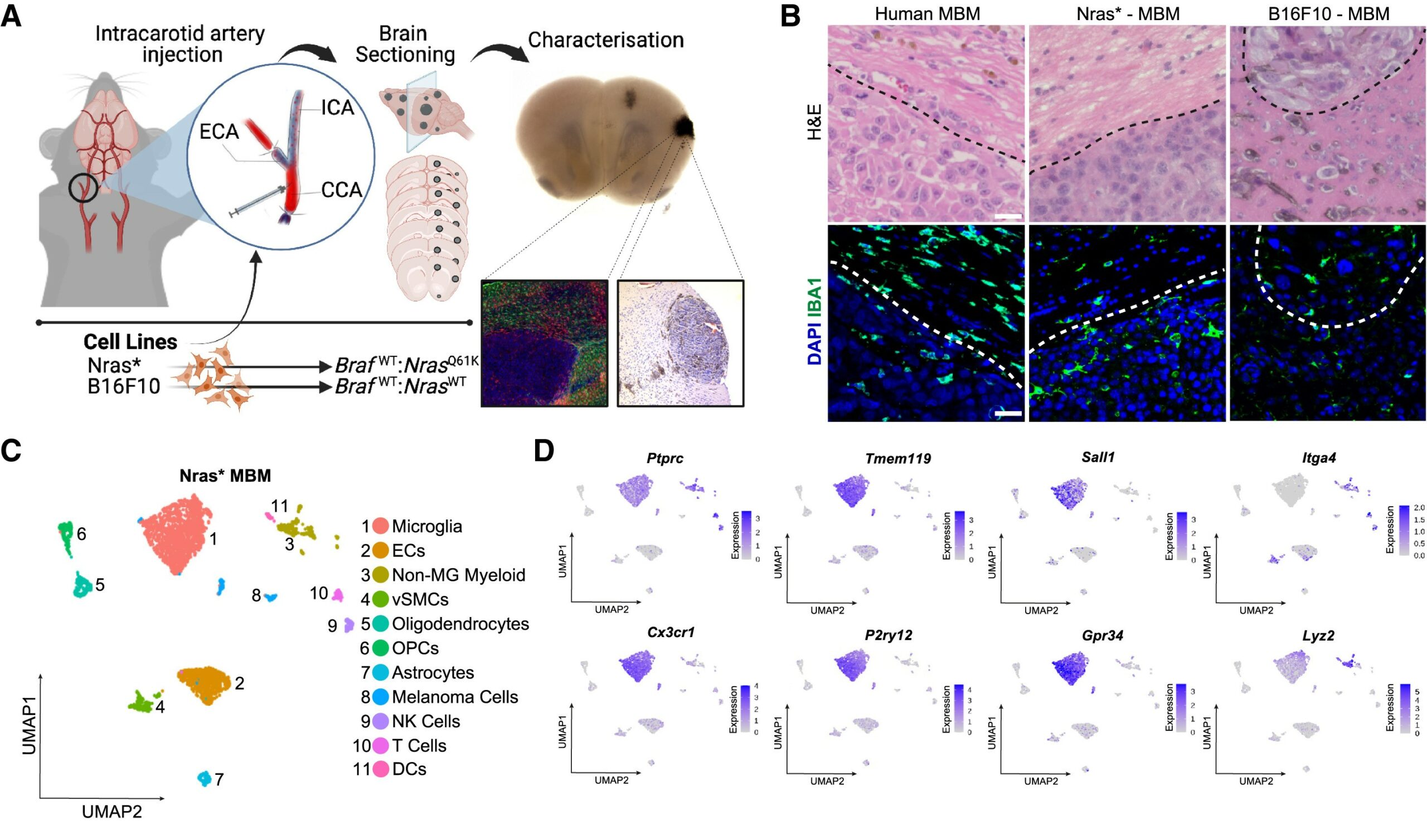 CONFERENCIA: Francisco Javier Rodríguez Baena