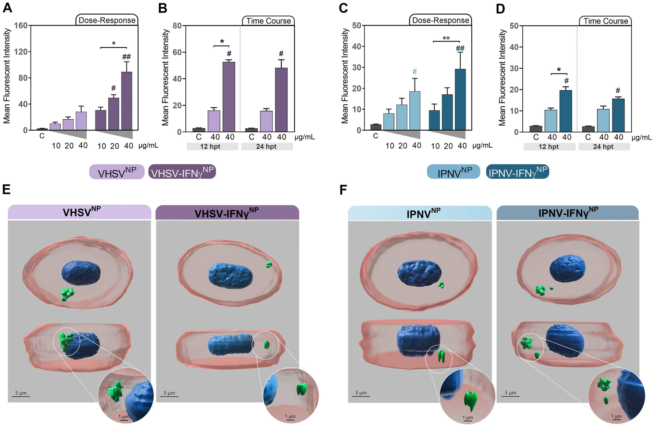 CONFERENCIA: María Del Mar Ortega-Villaizán Romo