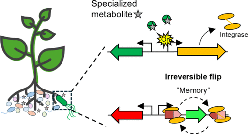CONFERENCIA: Prof. Lars Jelsbak y Dr. Carlos Neftaly Lozano Andrade